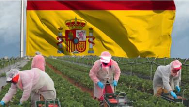 تطبيق للعثور على فرص وظيفية في إسبانيا