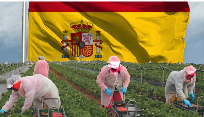تطبيق للعثور على فرص وظيفية في إسبانيا