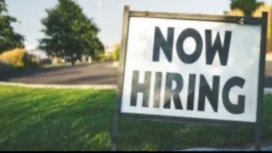 الوظائف في فنلندا