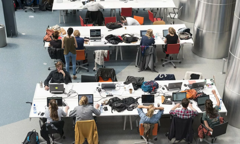 تأشيرة دراسية في هولندا للمهاجرين