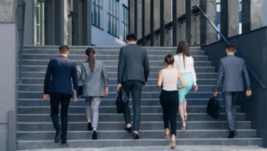 الوظائف في بلجيكا