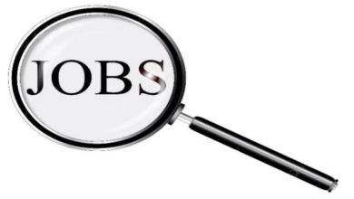 وظائف في هولندا