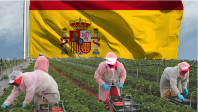 تطبيق لإيجاد فرص عمل موسمية في إسبانيا