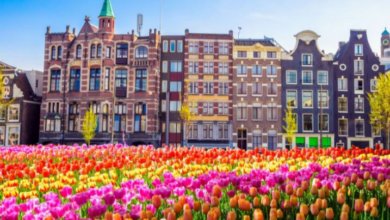أفضل المدن في هولندا للاستقرار العائلي