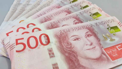 دعم مالي في السويد