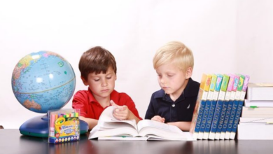 فرص تعليمية للأطفال في السويد