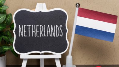 تطبيق لإيجاد وظائف في هولندا