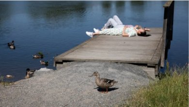 العطل الرسمية في السويد لعام 2025