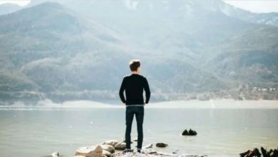 العمل في ألمانيا