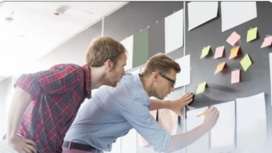 وظائف في بلجيكا