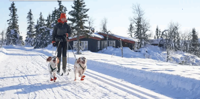 الاندماج في المجتمع النرويجي