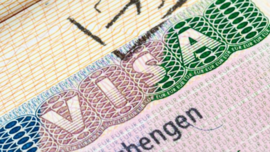 تصاريح وتأشيرات العمل في بلجيكا