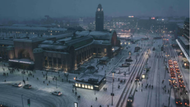 القيادة في فنلندا