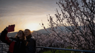 تأشيرة أو تصريح إقامة في فرنسا