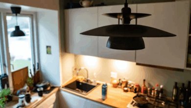 دعم إيجار السكن الوطني  Boligstøtte في الدنمارك