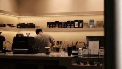 هل يمكنك العمل بتصريح الدراسة في الدنمارك