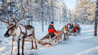 السفر إلى فنلندا