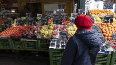 كيفية توفير المال عند التسوق لشراء الطعام في النمسا