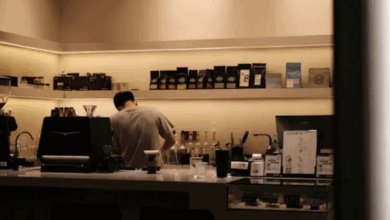 هل يمكنك العمل بتصريح الدراسة في الدنمارك