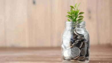 خيارات التوفير والادخار في النرويج